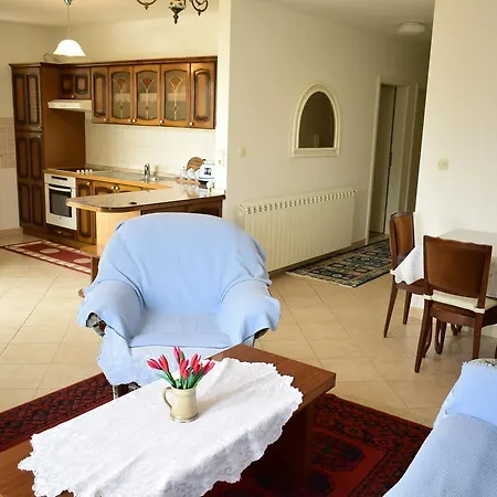 Apartment Diana Vantacici